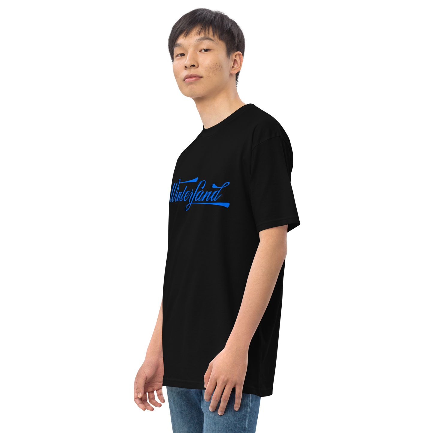 Men’s premium heavyweight tee - Winterland