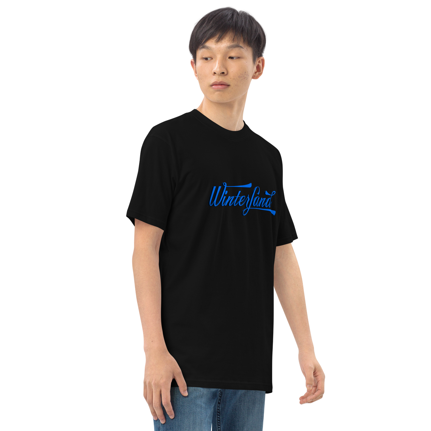 Men’s premium heavyweight tee - Winterland