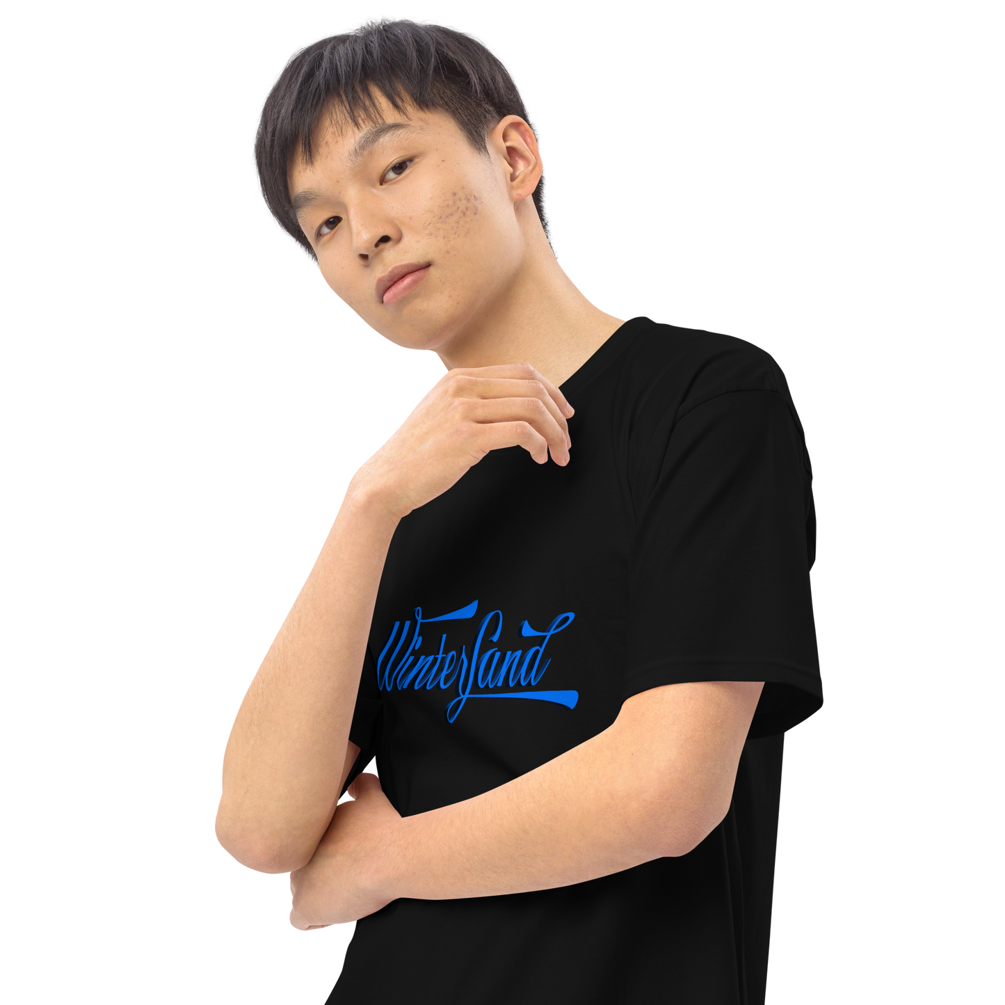 Men’s premium heavyweight tee - Winterland